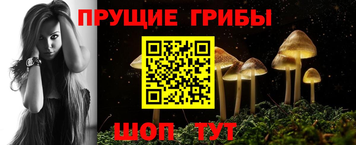 Псилоцибиновые грибы прущие грибы  Вход с VPN  Магнитогорск 